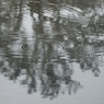 雨宿り