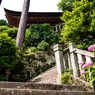 あじさいの寺（長命寺より）