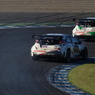 [WTCC 176] ノルベルト・ミケリス(Norbert Michelisz)