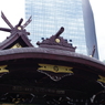破風_熊野神社(新宿)