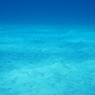 10ｍ海底の砂。 by dai