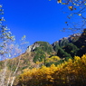上高地の紅葉