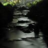 Black river