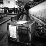 裏路地ブルース　宮島物語