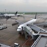 飛び立つ準備が進む