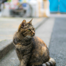 やわらか仕上げ