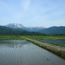田園と雪山