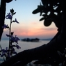 夕日に八雲立つ