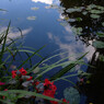 monet giverny 3