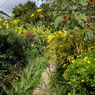 monet giverny 4