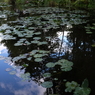 monet giverny 5