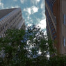 chicago 3