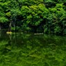 笹川湖
