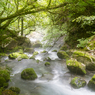 霧立つ川面３（河内の風穴より）