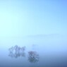 夜霧のカタルシス Catharsis of the night fog