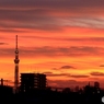 スカイツリーの夕景Ⅱ