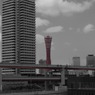 港のポーちゃん