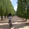 S&S_selection13