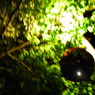 yomichi12