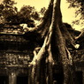 TIME－ta prohm