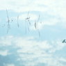 空について