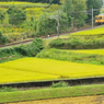 田舎