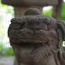 狛犬_金王八幡宮