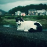 黄昏 My Time