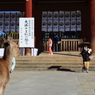 東大寺 中門前にて