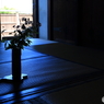 東大寺 指図堂にて
