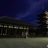 興福寺 東金堂と五重塔