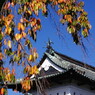 旅写真　弘前城　Ⅱ