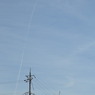 桜と電柱と飛行機雲。
