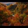 玉川1