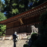 宇治上神社 本殿