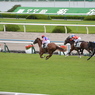 淀競馬場3