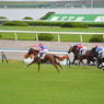 淀競馬場4