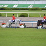 淀競馬場5