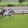 淀競馬場6