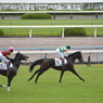 淀競馬場7