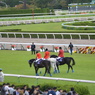 淀競馬場8