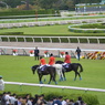 淀競馬場8