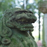 狛犬_和泉熊野神社