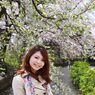 Spring in Kyoto