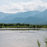 雄松崎の内湖（夏の琵琶湖畔より）