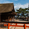 白髭神社本殿（夏の琵琶湖畔より）