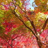 兵庫県　有馬温泉瑞宝寺公園