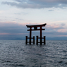 湖中大鳥居３（夏の琵琶湖畔より）