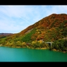 宝仙湖2