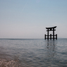 湖中大鳥居５（夏の琵琶湖畔より）